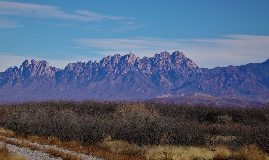 Mesilla Valley Bosque State Park
